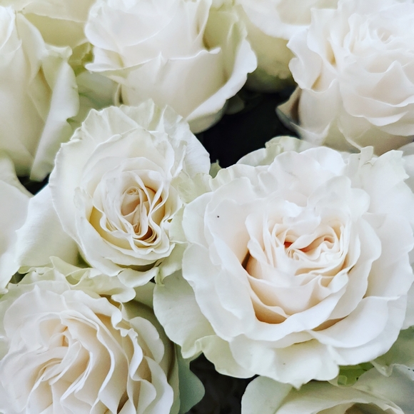 Meet your Posher, Jo-ann - Picture 1 of 1